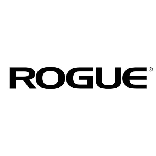 روگ (Rogue)